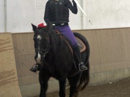 img_39301_web